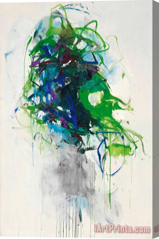 Joan Mitchell My Other Plant, 1965 Stretched Canvas Print / Canvas Art