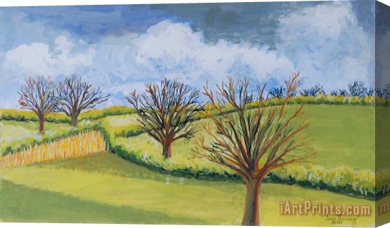 Joan Thewsey Suffolk Spring Sky Stretched Canvas Painting / Canvas Art