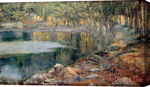 Joaquin Clausell Burgeoning Springs in Autumn Stretched Canvas Print / Canvas Art