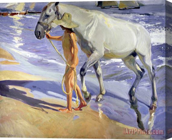 Joaquin Sorolla y Bastida Washing the Horse Stretched Canvas Print / Canvas Art