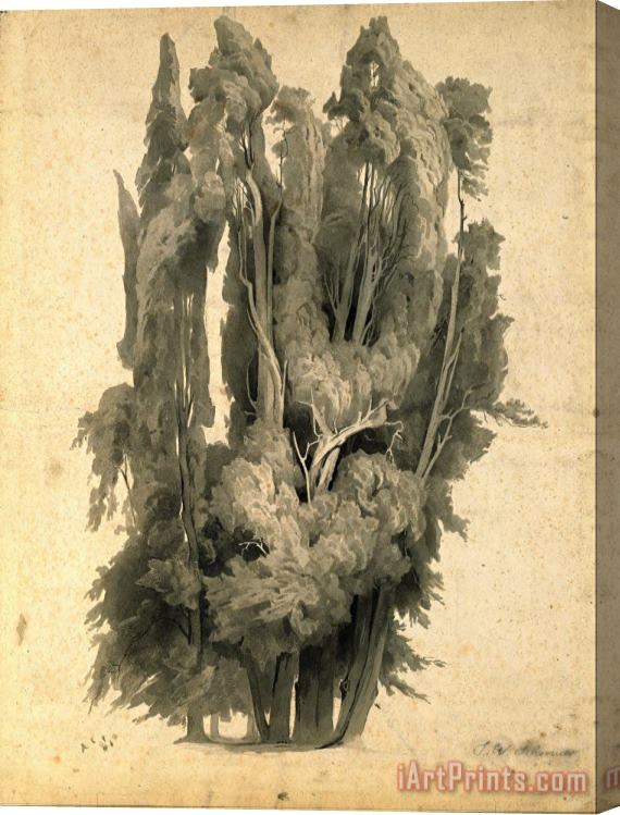 Johann Wilhelm Schirmer Cypresses in The Park at Villa D'este in Tivoli Stretched Canvas Painting / Canvas Art