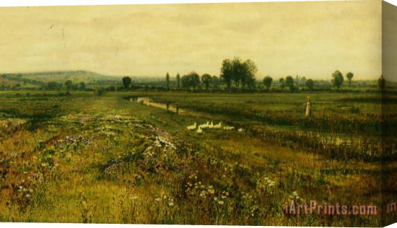John Atkinson Grimshaw An Extensive Meadow Landscape with Geese by a Stream Stretched Canvas Print / Canvas Art