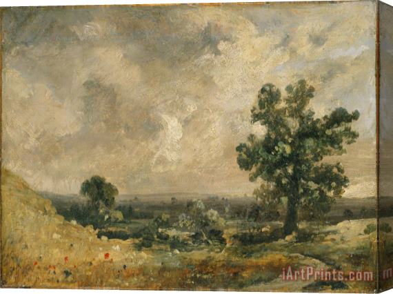 John Constable Petunias Stretched Canvas Print / Canvas Art