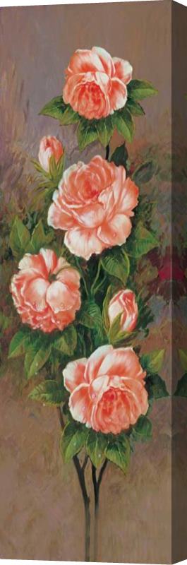 John Douglas Branch of Pink Roses I Stretched Canvas Print / Canvas Art