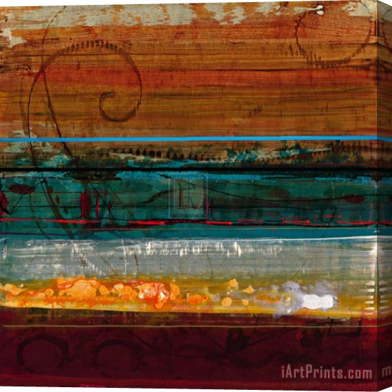 John Douglas Desert Melody I Stretched Canvas Print / Canvas Art