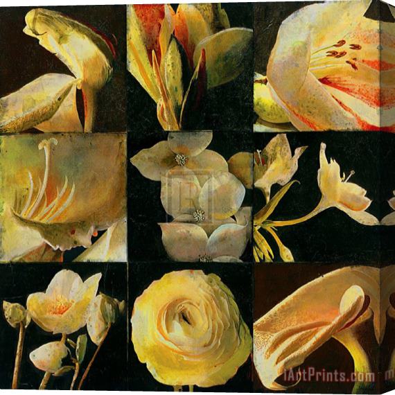 John Douglas Mirrored Blossoms I Stretched Canvas Print / Canvas Art