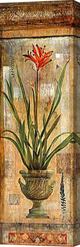 John Douglas Rojo Botanical I Stretched Canvas Print / Canvas Art