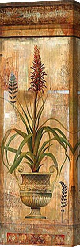 John Douglas Rojo Botanical II Stretched Canvas Print / Canvas Art