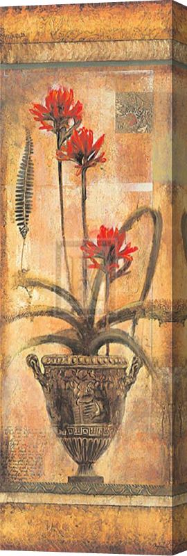 John Douglas Rojo Botanical Vii Stretched Canvas Print / Canvas Art
