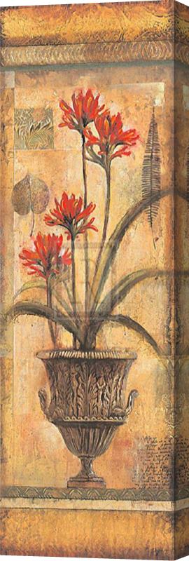 John Douglas Rojo Botanical Viii Stretched Canvas Painting / Canvas Art