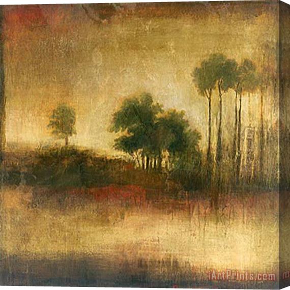 John Douglas Timeless Equinox Stretched Canvas Painting / Canvas Art