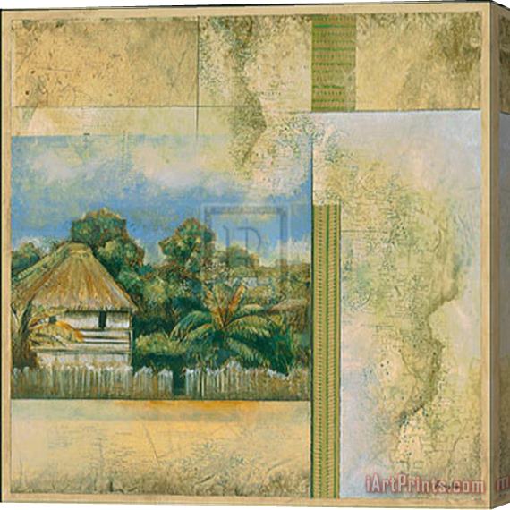 John Douglas Tropical Journey I Stretched Canvas Painting / Canvas Art