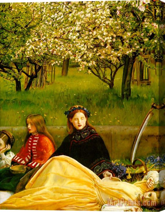 John Everett Millais Apple Blossoms (spring) Detail I Stretched Canvas Print / Canvas Art