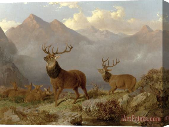 John Frederick Herring Jnr Stags And Hinds In A Highland Landscape Stretched Canvas Painting / Canvas Art