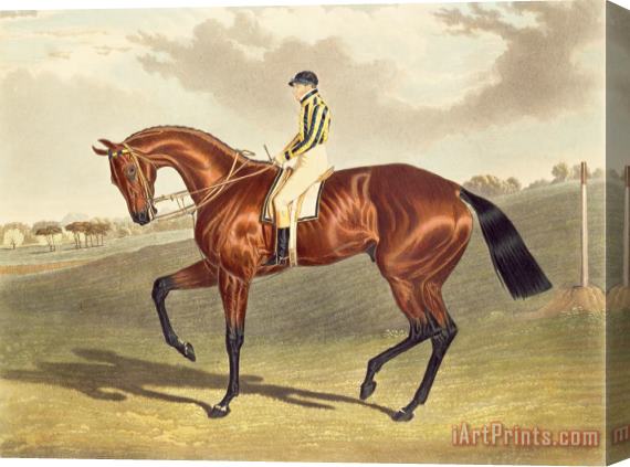 John Frederick Herring Snr Bay Middleton Winner of the Derby in 1836 Stretched Canvas Print / Canvas Art