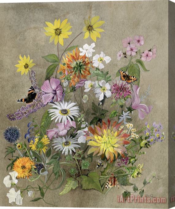 John Gubbins Summer Flowers Stretched Canvas Print / Canvas Art