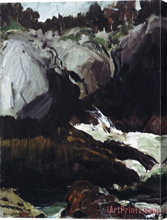John James Audubon Gorge And Sea 1911 Stretched Canvas Painting / Canvas Art
