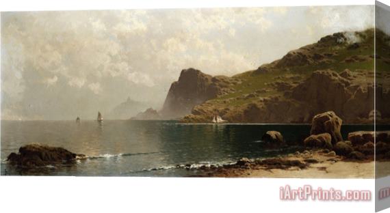 John James Audubon Mist Rising Off The Coast Stretched Canvas Painting / Canvas Art