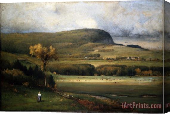 John James Audubon New England Valley 1878 Stretched Canvas Print / Canvas Art