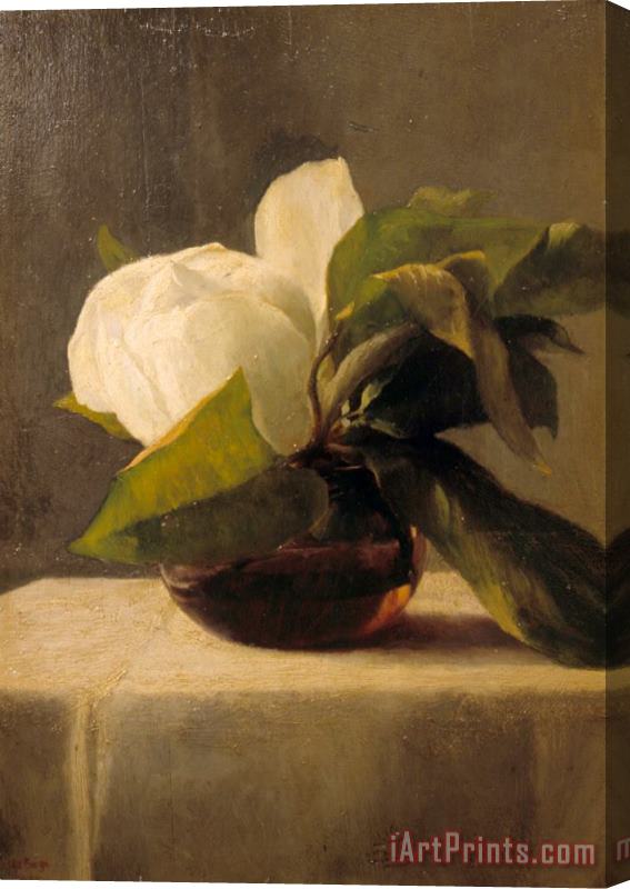 John LaFarge Magnolia Stretched Canvas Painting / Canvas Art