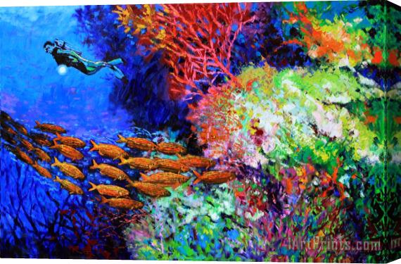 John Lautermilch A Flash of Life and Color Stretched Canvas Print / Canvas Art