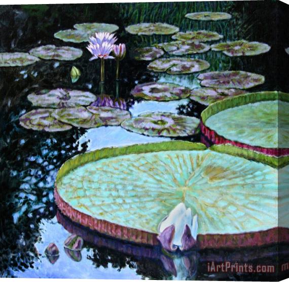 John Lautermilch Calm Reflections Stretched Canvas Painting / Canvas Art