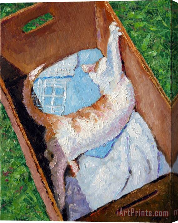 John Lautermilch Cat In A Box Stretched Canvas Painting / Canvas Art