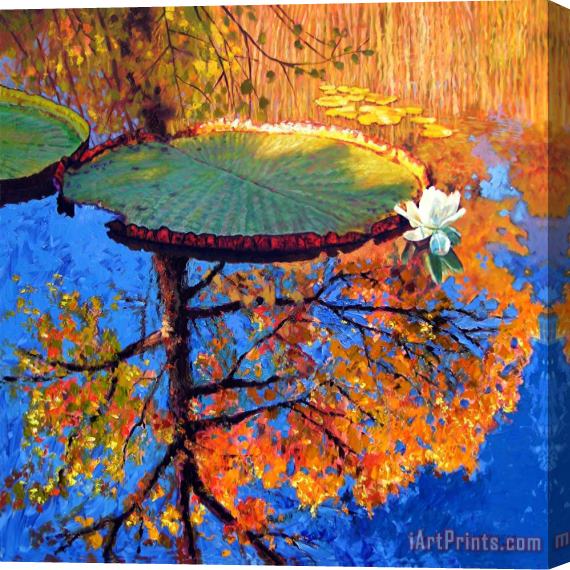 John Lautermilch Colors of Fall on the Lily Pond Stretched Canvas Painting / Canvas Art