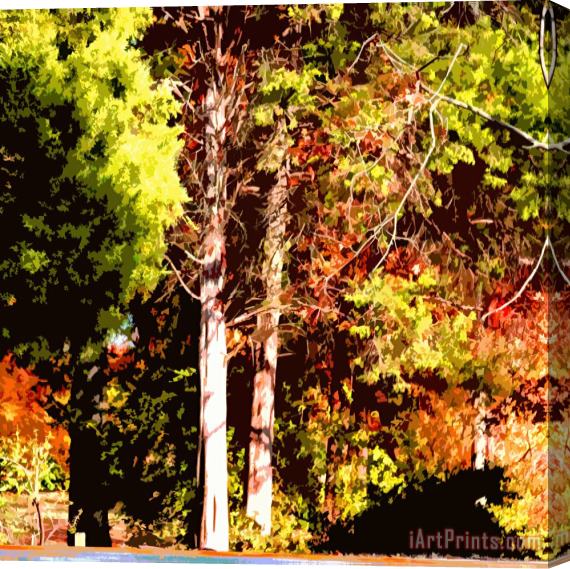 John Lautermilch Fall Colors in Sunlight Stretched Canvas Painting / Canvas Art