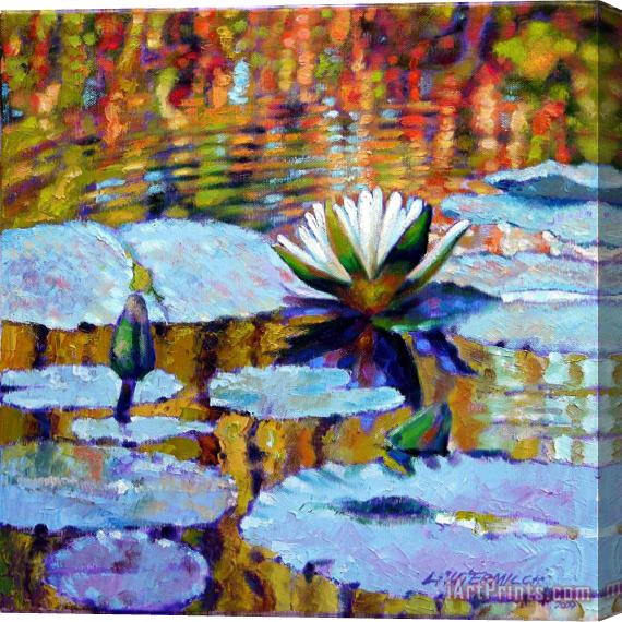 John Lautermilch Fall Ripples Stretched Canvas Print / Canvas Art