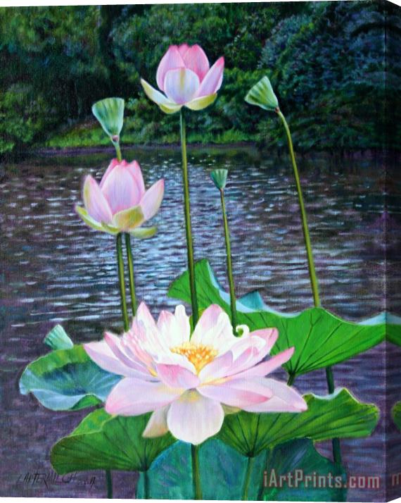 John Lautermilch Lotus Stretched Canvas Painting / Canvas Art