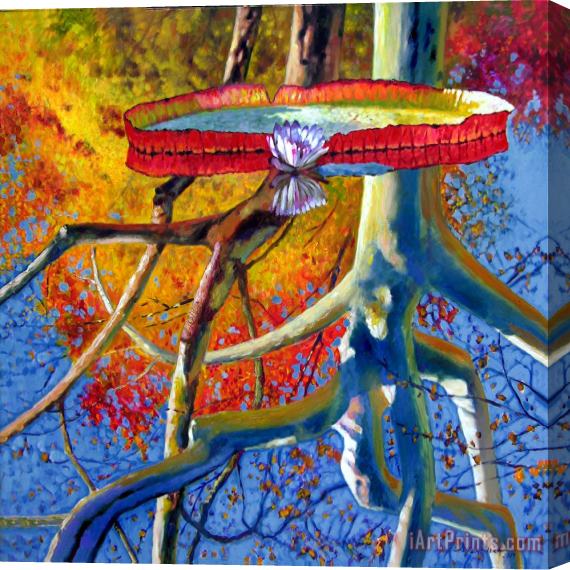 John Lautermilch Missouri Sycamore Reflections Stretched Canvas Print / Canvas Art