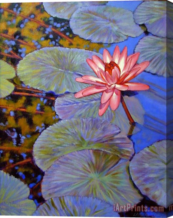 John Lautermilch Pink Lily with Silver Pads Stretched Canvas Painting / Canvas Art
