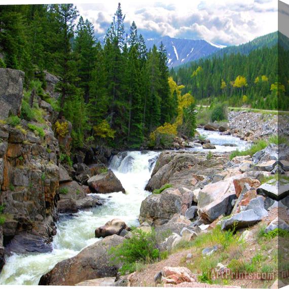 John Lautermilch Rocky Mountain Stream Stretched Canvas Painting / Canvas Art