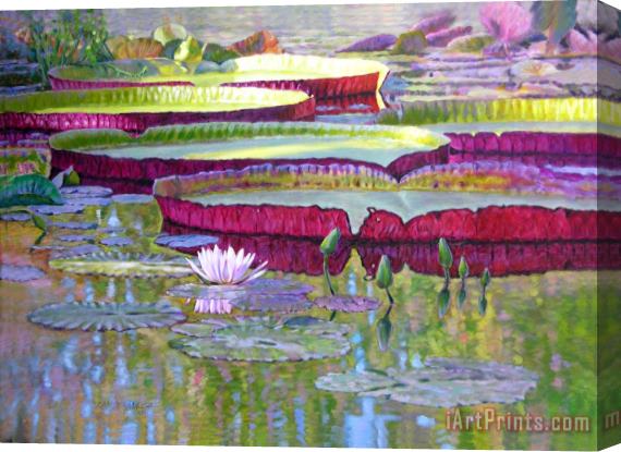 John Lautermilch Sunlight on Lily Pads Stretched Canvas Painting / Canvas Art