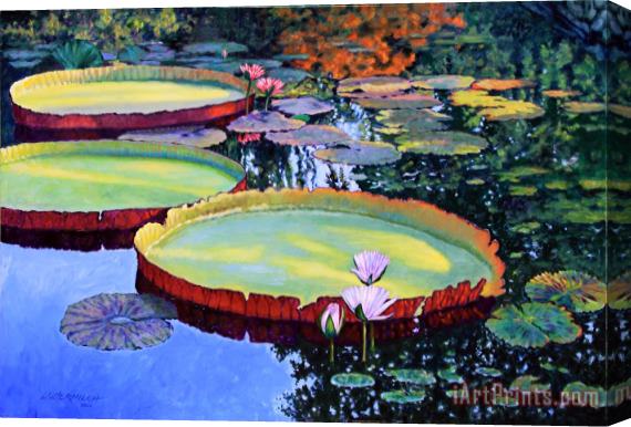 John Lautermilch Sunspots on Lily Pond Stretched Canvas Painting / Canvas Art