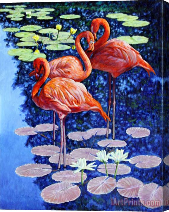 John Lautermilch Three Flamingos in Lily Pond Stretched Canvas Print / Canvas Art