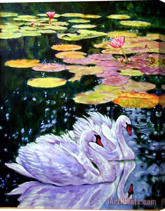 John Lautermilch Two Swans in the Lilies Stretched Canvas Print / Canvas Art