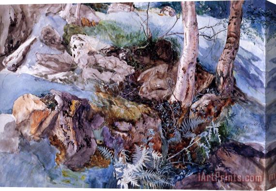John Ruskin Study of The Rocks And Ferns, Crossmouth Stretched Canvas Print / Canvas Art