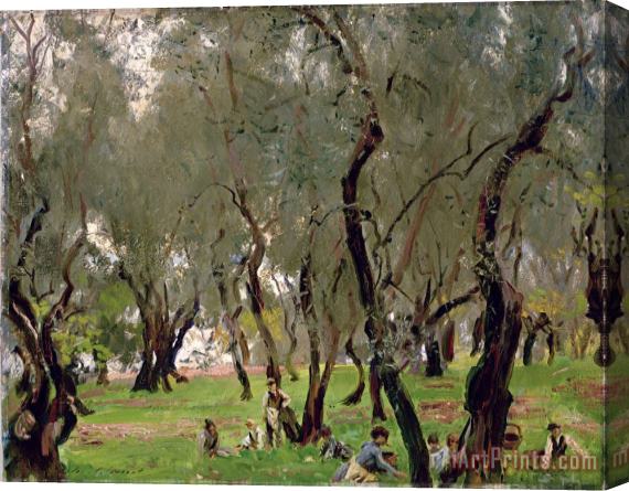 John Singer Sargeant The Olive Grove Stretched Canvas Print / Canvas Art