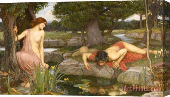 John William Waterhouse Echo And Narcissus Stretched Canvas Print / Canvas Art