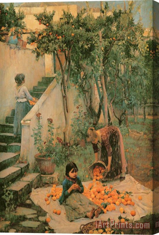 John William Waterhouse The Orange Gatherers Stretched Canvas Print / Canvas Art