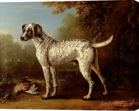 John Wootton Grey spotted hound Stretched Canvas Print / Canvas Art