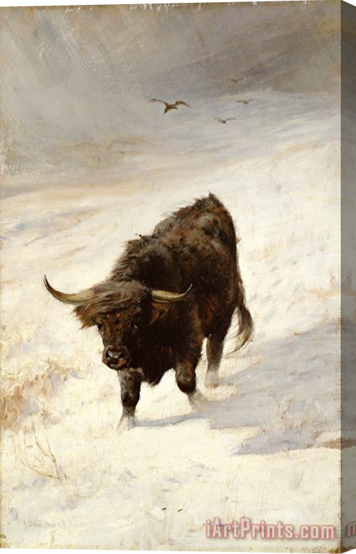 Joseph Denovan Adam Black Beast Wanderer Stretched Canvas Painting / Canvas Art