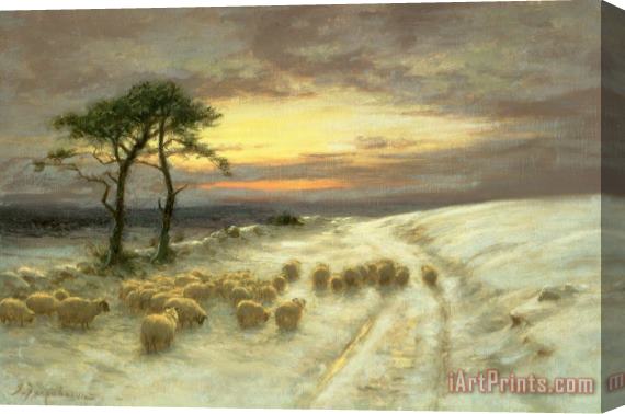 Joseph Farquharson Sheep in the Snow Stretched Canvas Print / Canvas Art