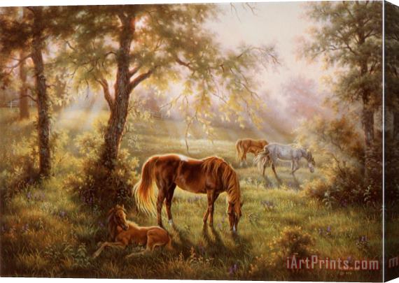 Judy Gibson A Summer Morn Stretched Canvas Painting / Canvas Art