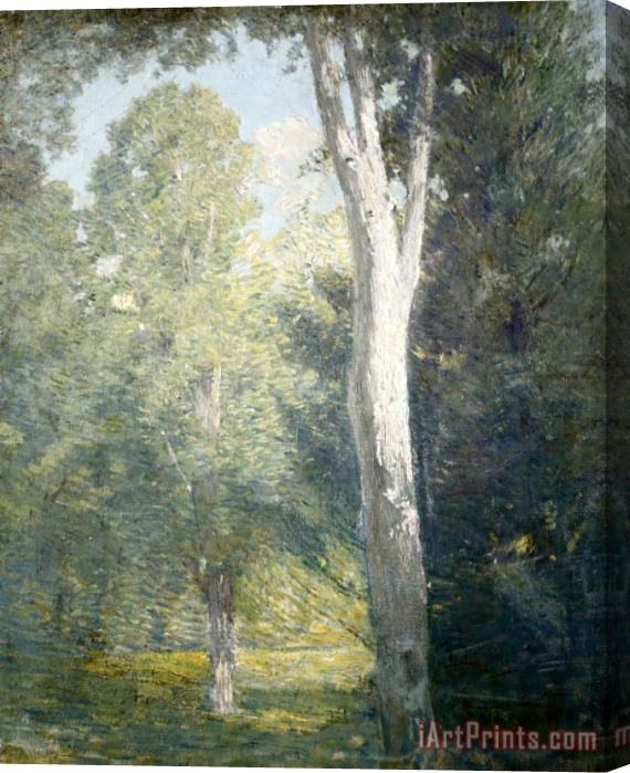 Julian Alden Weir Painting of Birch Trees in Forest Stretched Canvas Print / Canvas Art