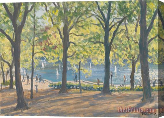 Julian Barrow Central Park New York Stretched Canvas Print / Canvas Art