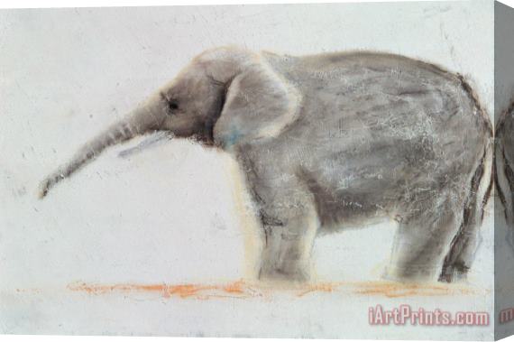Jung Sook Nam Elephant Stretched Canvas Print / Canvas Art
