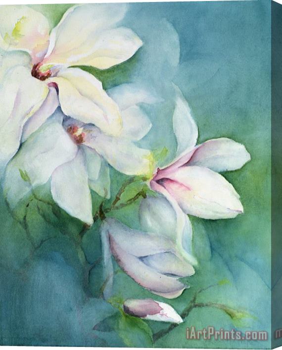 Karen Armitage Magnolia Dedudata Stretched Canvas Painting / Canvas Art